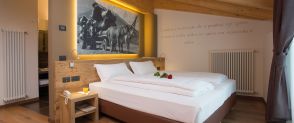 Deluxe Double or Twin Room SASSDEI ACTIVE HOTEL Andalo
